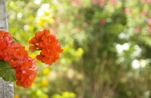 Brna Three-room apartment near the beach-Zen - Foto 28