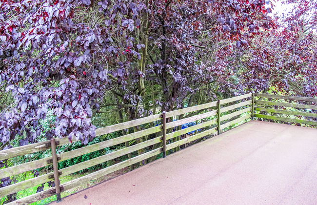 Jestřebice 8 - Foto 40