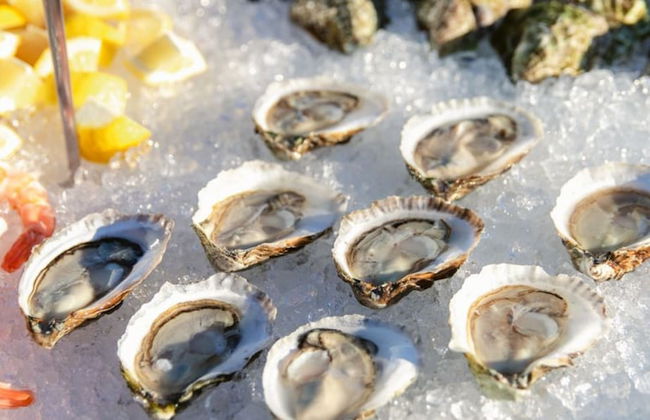 AutoCamp Cape Cod - Photo 39