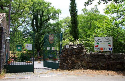 Cirasellaetna - Foto 3