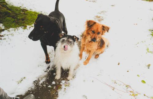 Szczytny Zakątek Apartamenty - Foto 40