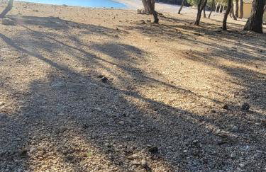 Studio apartman Pegi - Photo 27