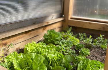 Apartments Unteradamerhof - Foto 34