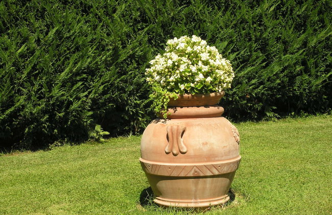 Villino Blu Private Villa on the Chianti Hils 10 Plus 2 pax - Photo 93