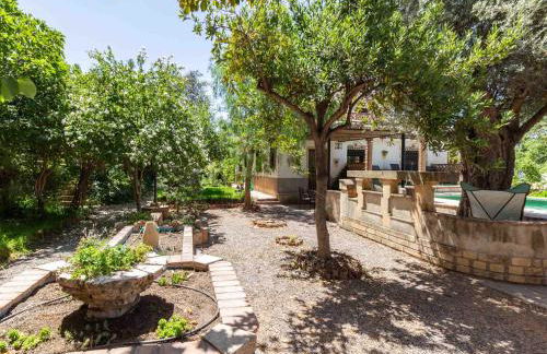 Viña Chica - Foto 45