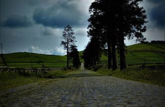 Cantinho do Cruzeiro das Lajes - Photo 35