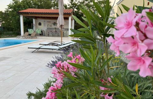 Villa Yucca Istra - Foto 3