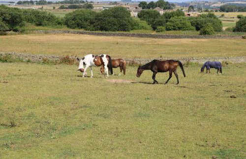 West End House - Foto 25