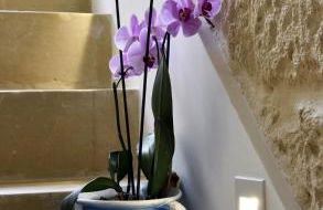 Dimora di Mezzo - Foto 8