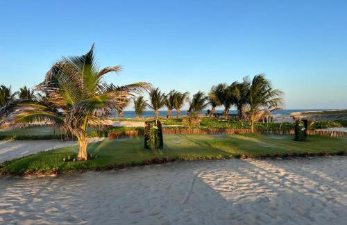 Jurema Dourada - Photo 19