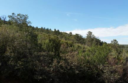 Chisolm Trail Villa - Foto 29