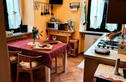 i tulipani - Foto 54