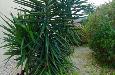 Alojamento - Apartamento ou quarto - Estacionamento à porta - Foto 24