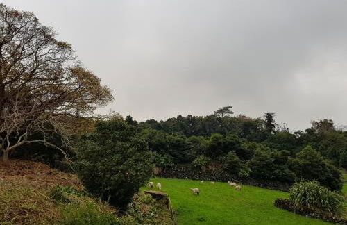 Barrocas do Mar - Photo 60