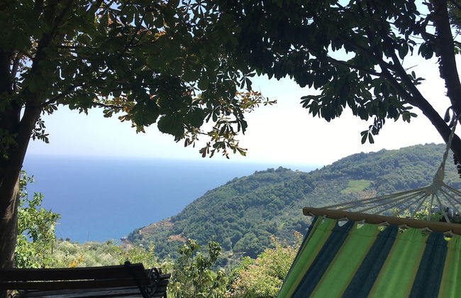 Villa Thea - Foto 28