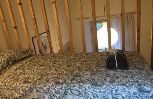 Ortensia riviera d'Orta - Foto 22