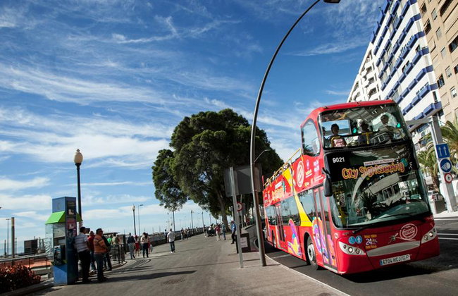 Visite de la ville Santa Cruz de Tenerife - Circuit en bus à arrêts multiples - Photo 4