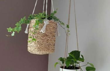 La Casa Bidule - Photo 7