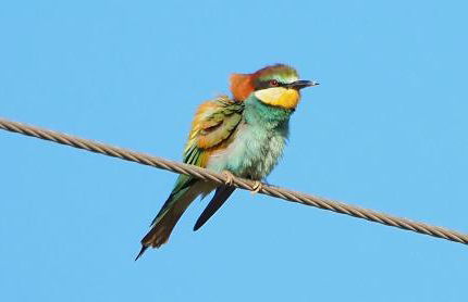 La Casa de Oti playa Mazagón vistas al mar - Foto 33
