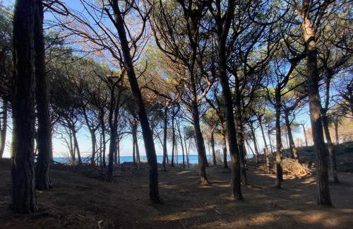 Appartamento Acquamarina - Foto 24