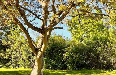 Sommerby Sky - Foto 22