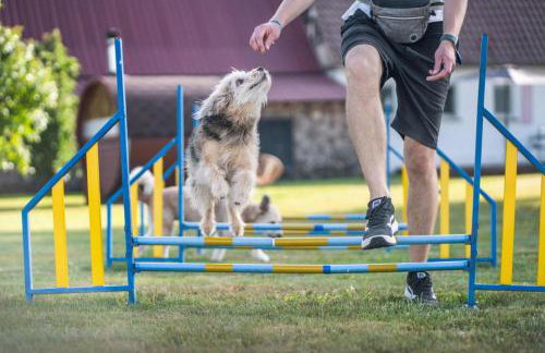 Ferienhaus S`bunde Heisle - Foto 6