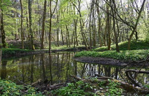 Ferienwohnung Gisela - Foto 14