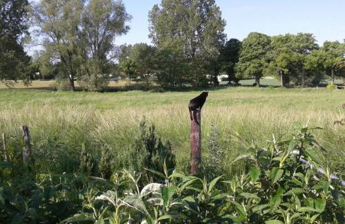 Apartment Schwalbennest by Interhome - Foto 37