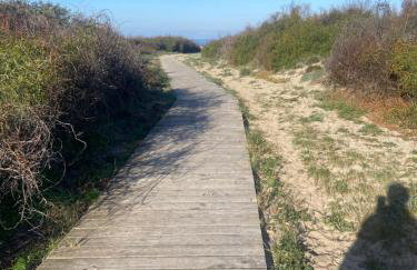 piccola - Foto 6