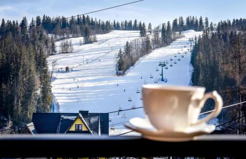 Apartamenty u Kurosa Jacuzzi & Sauna Ski Suche - Foto 45