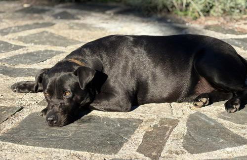 Tuscan Hideaway - Foto 29