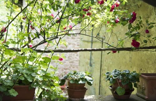 Agriturismo Attulaio - Foto 17