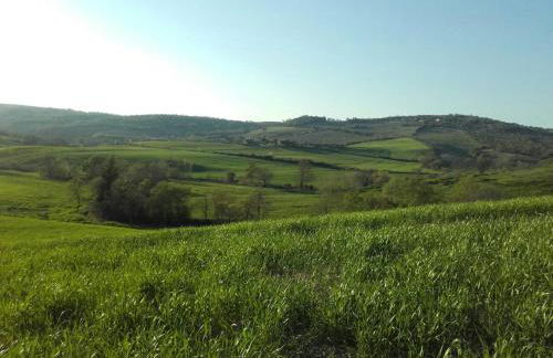 Agriturismo da Remo - Foto 59