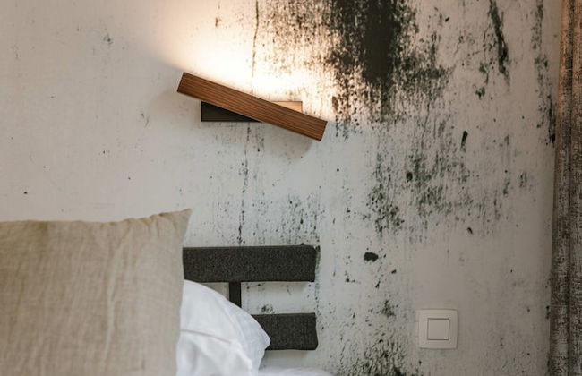 Modern Apartment With Large Terrace - Photo 28