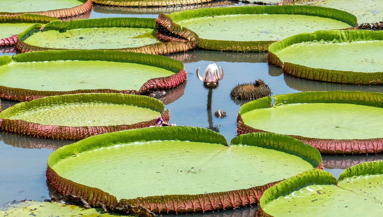 Tour por el lago do Maicá