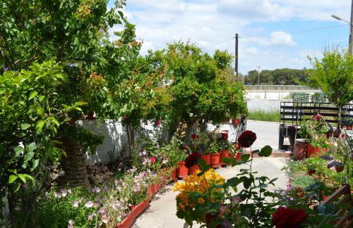 Nancy Rooms - Foto 52