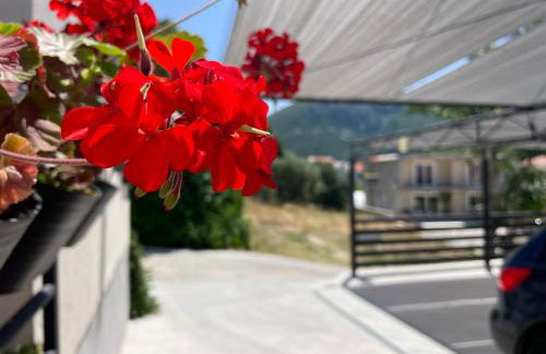 Apartments Leko - Foto 70