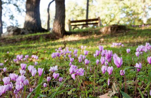 Agriturismo Costa San Bernardo - Foto 21