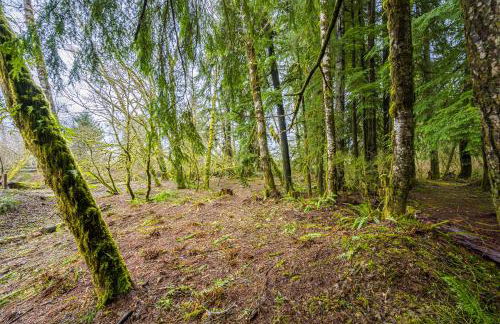 Rainforest Tiny Home Rustic - Foto 44