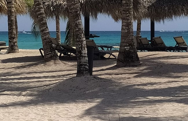 Magdalena 86 - Foto 14