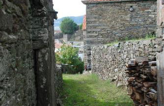 Cardenha do Douro - Photo 9