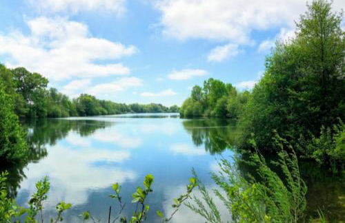 NEU! Ferienhaus Elisa an der Nordsee - Foto 14