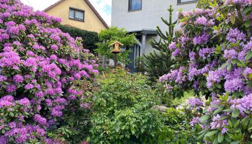 Wohnung Nahe Inselsberg Wanderwege - Foto 2