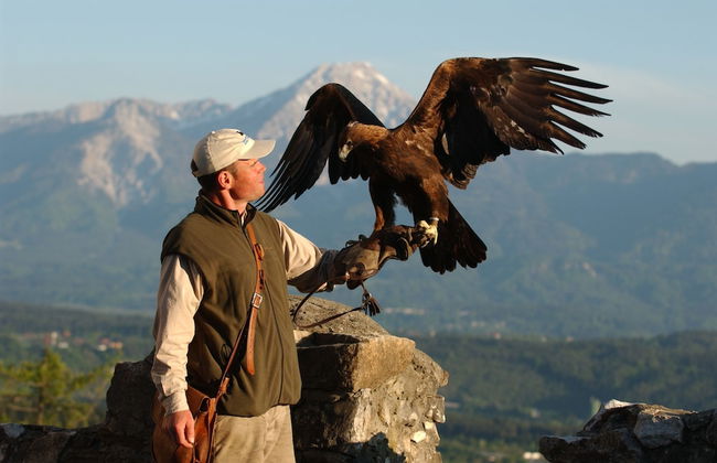 Haus am Wald - Foto 28