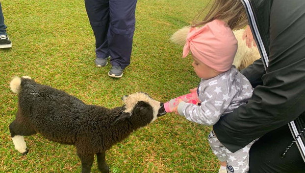 Visite de la ferme de Santa Bárbara - Photo 5