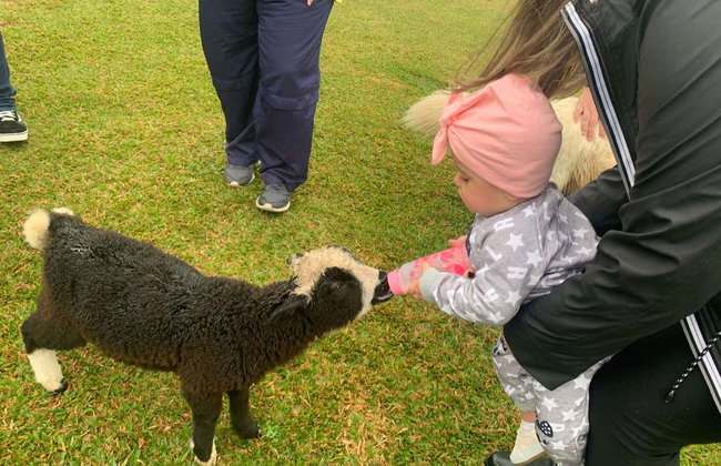 Visita a la estancia Santa Bárbara - Foto 5