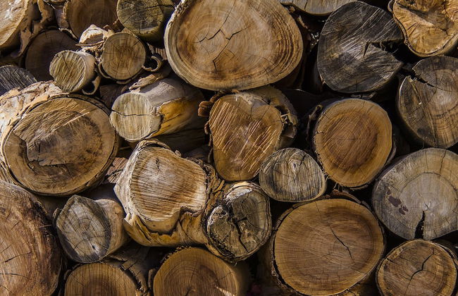 Cortijo 4 Elementos - Foto 33