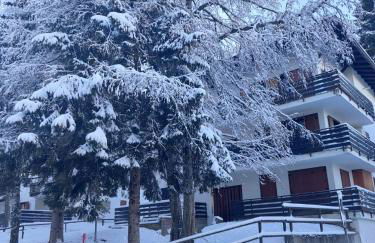 Casa ampia Funghetto sulle piste di Folgarida - Photo 8