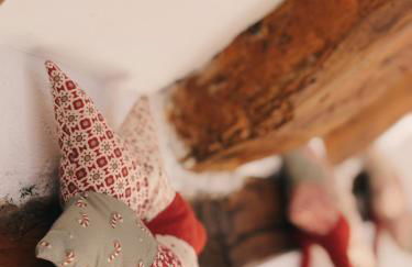 Borda de Fadrín - Foto 27