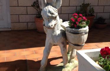 Apartments Julija - Photo 10